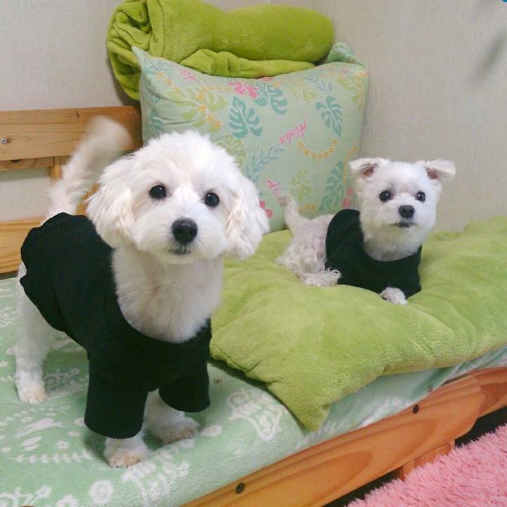 25695282 fa8e 46bd ac81 b6858fc1d91b