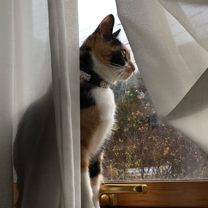 256996f2 7b1b 42da a228 8bfecd14d818