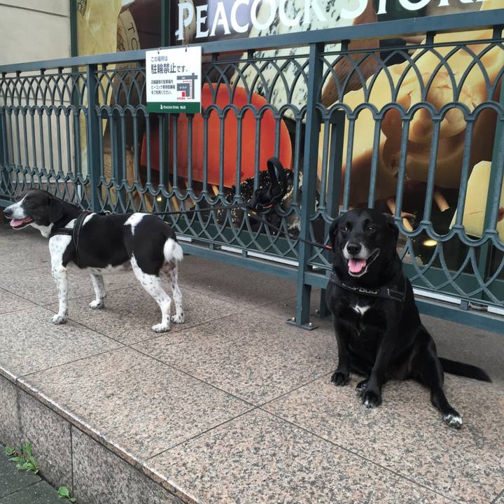 2569f944 5474 41ee b10c 8a8c73e93d3b