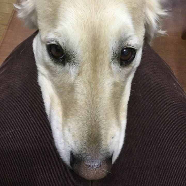 256a6751 aa85 4949 8c35 547437329518