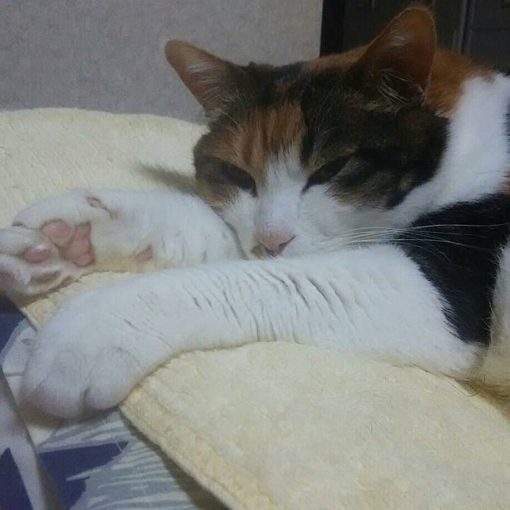 256ab34d bf6a 41c9 ab0a 7709b30e6b89