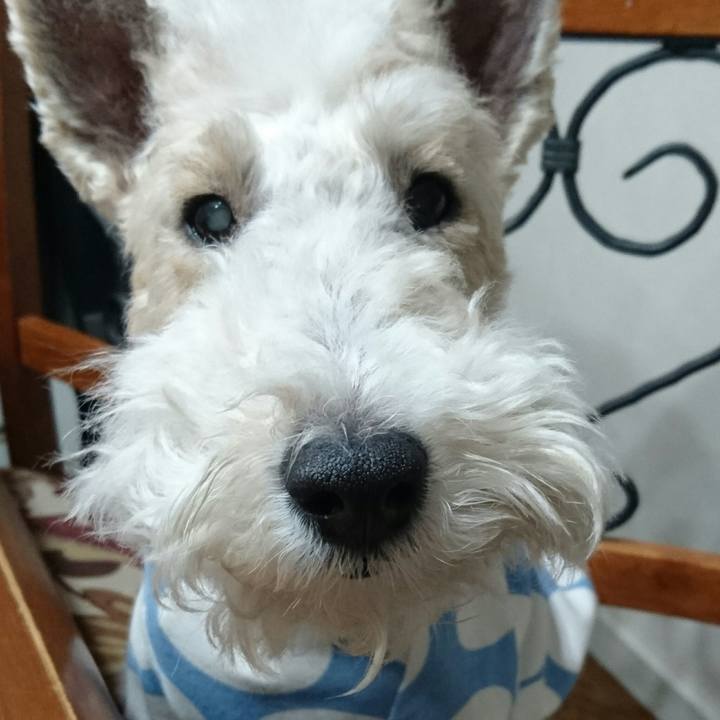 256ac81a 2f4f 4077 b335 bf7f6edd36a2