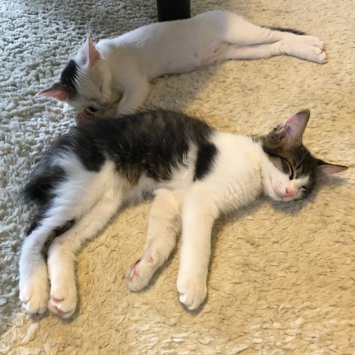 256aea52 34e5 45a9 898b 9730209d083c