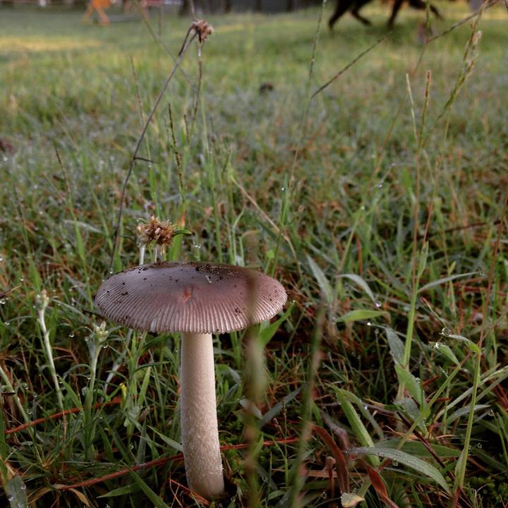 256bb39a 29dc 450e acf9 b9f2a9974bec