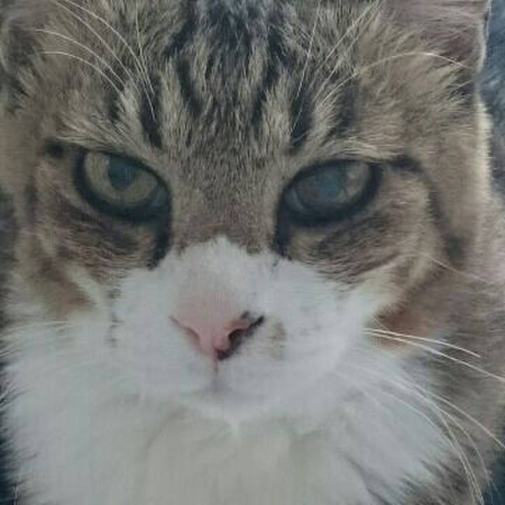 256c7570 1402 4dfe ae9f 7682ce61d87e