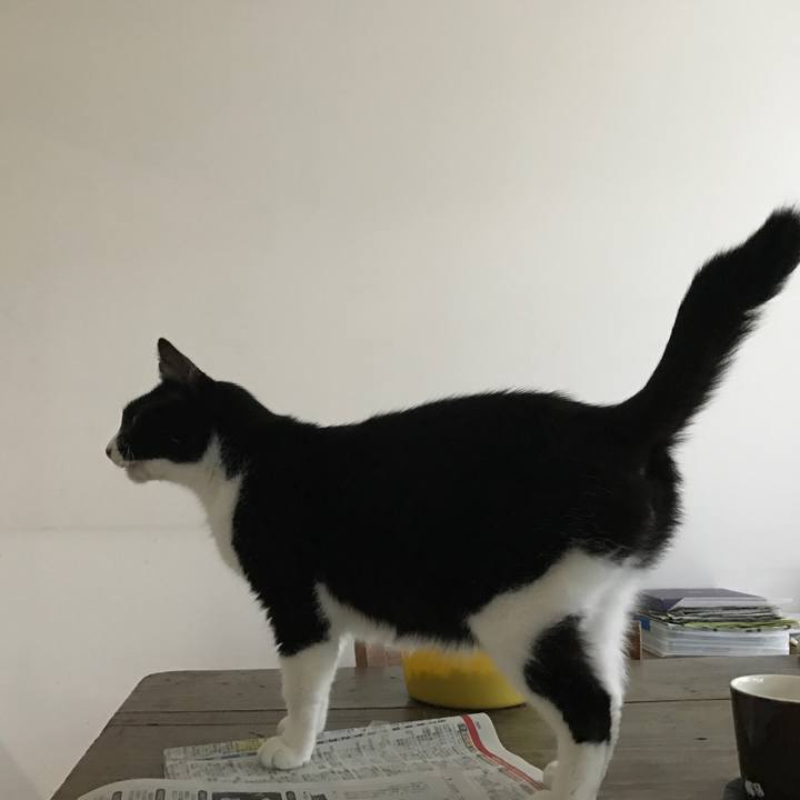 256c954b 73cb 41eb 8e64 e529850b7904