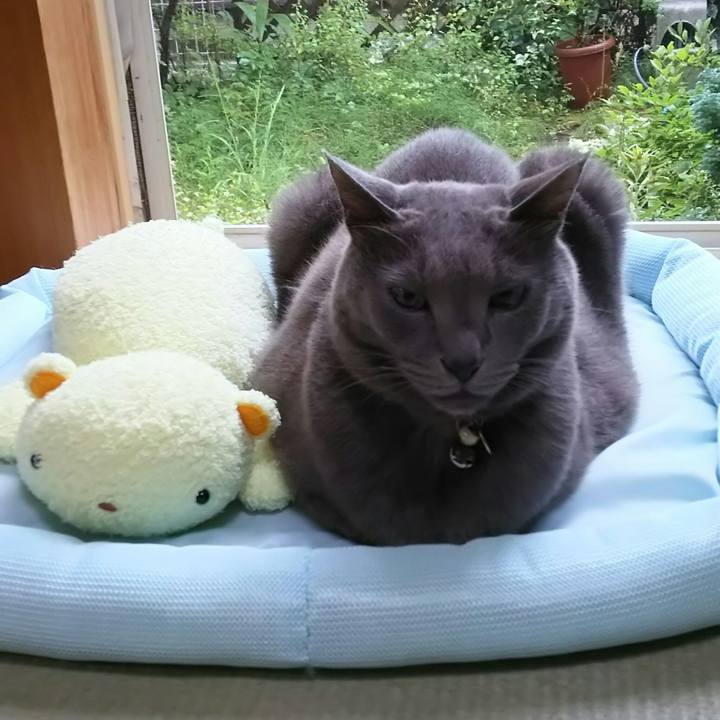 256c9ae2 4276 4241 99dc b1494aad3431