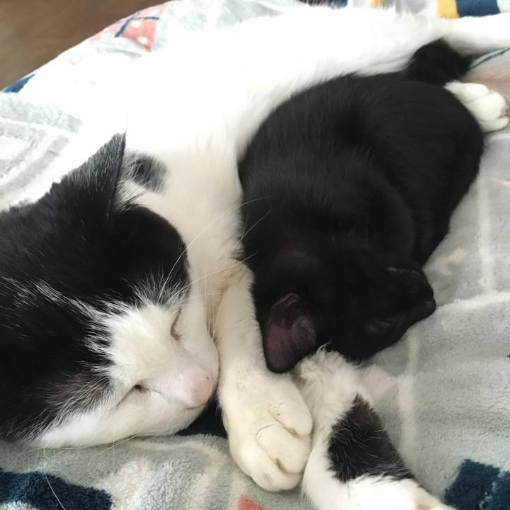 256c9fd2 52dd 4460 aeef 4f5bcefe2502