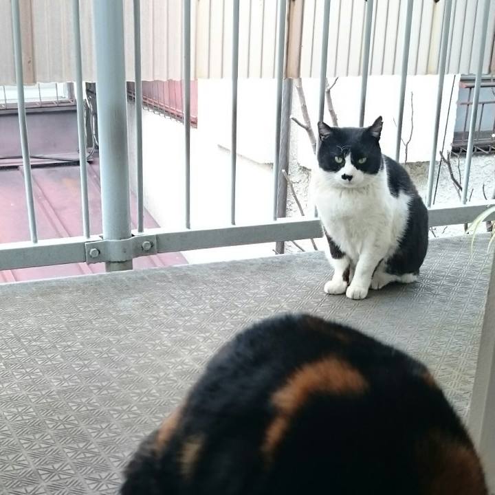 256d3882 e739 4f13 b9e6 427039b9fc33