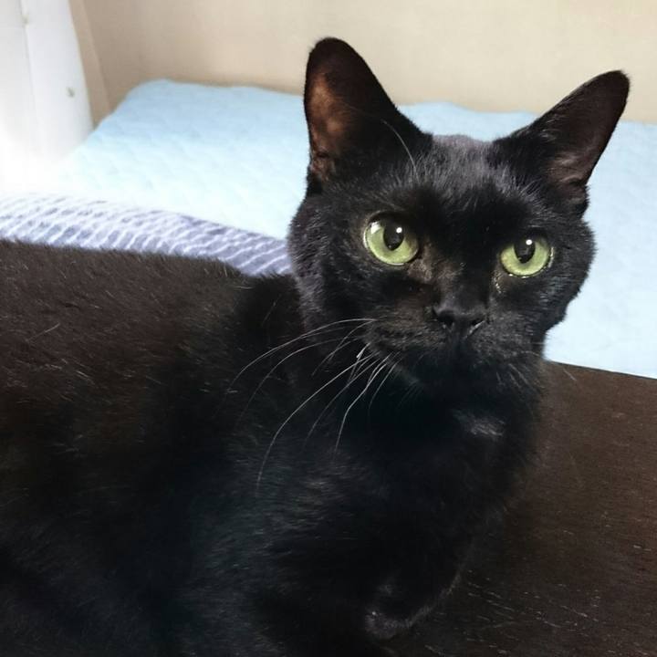 256dd204 344d 46ad ae81 42ee45d28c03