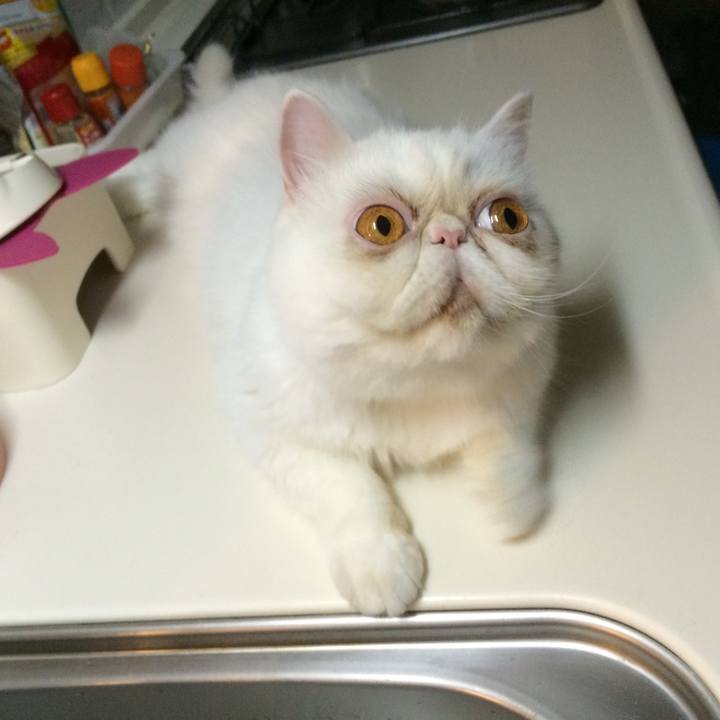 256e1e49 549e 4c11 a83a 86e280bb9cde