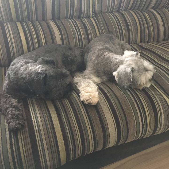 256e6b1e e483 4b7b 9a53 307cfc7b365d