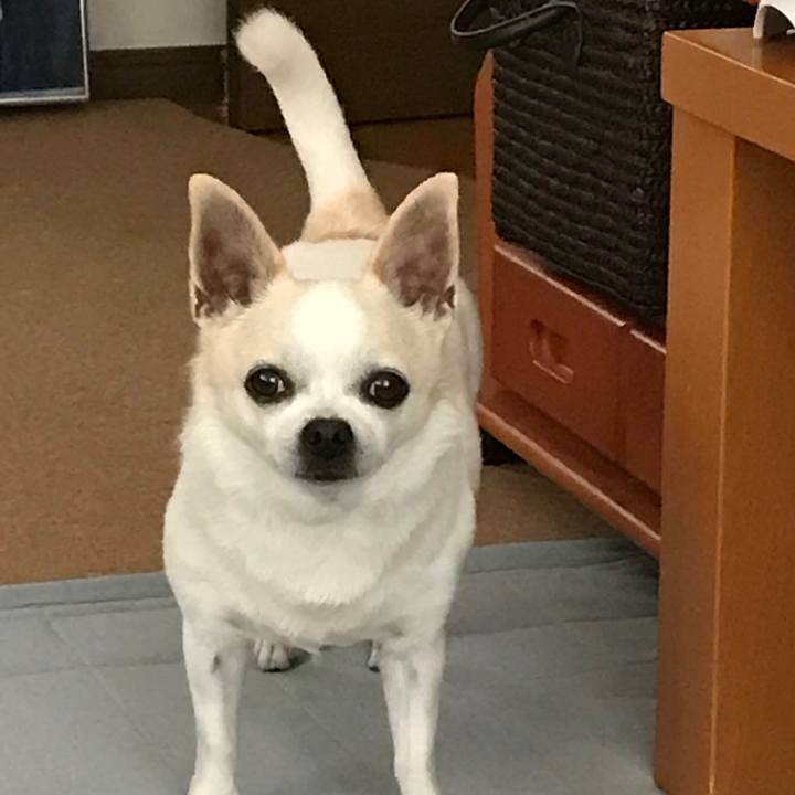 256e7647 62b9 4d91 a976 c2453afe96de