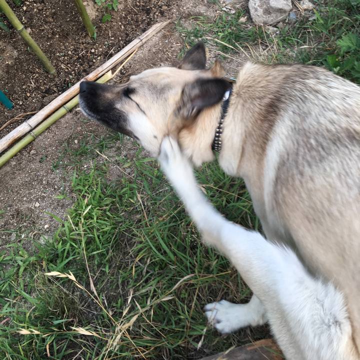 256ea2a7 7df3 4285 9e3b 6153994575f7