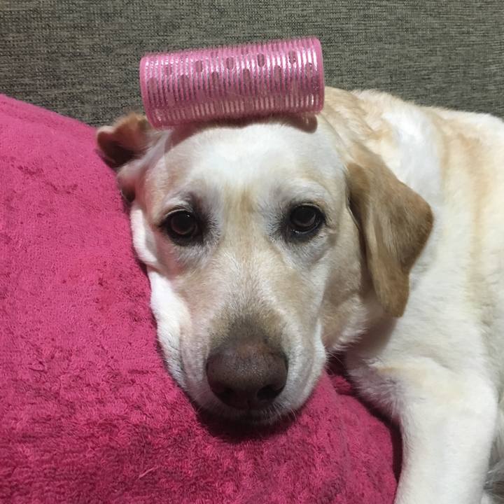 256f12bb 92d0 4ce8 9593 50b23242cbae