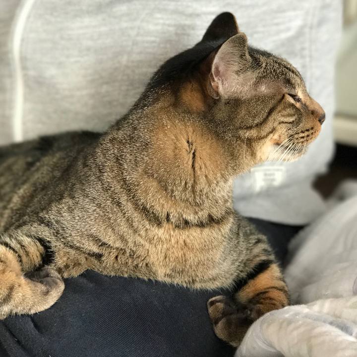 256fe64c 2598 49ea bac8 dec0800dd4c5