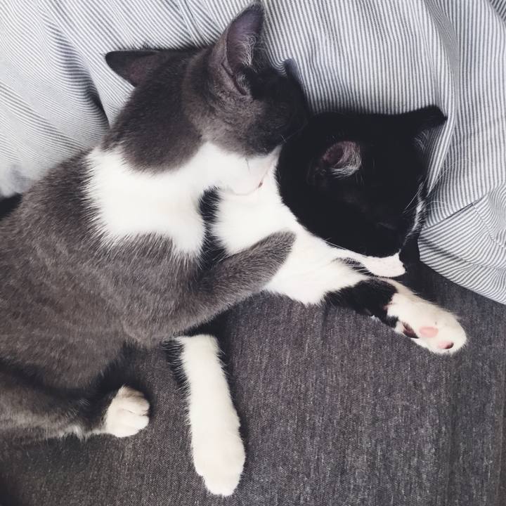 25706d76 b541 4ef2 9f61 d81fdc848225