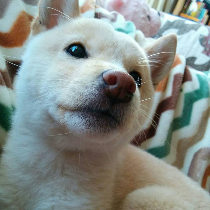 2570ae69 b2c1 44b5 a239 9c1d1119c77a