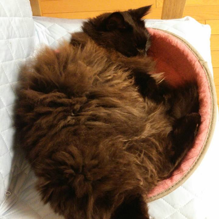 25713e49 9a21 464e 85c3 fe85168e3775