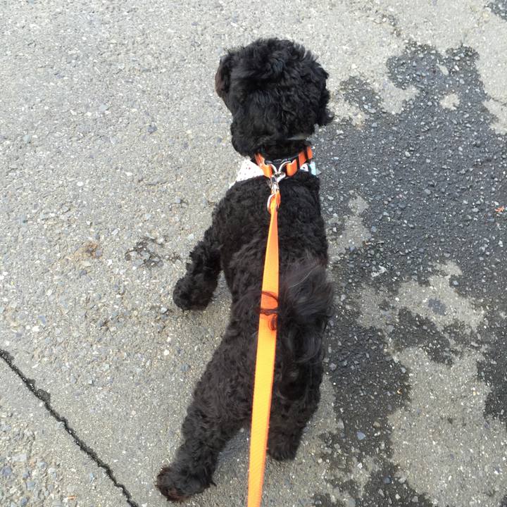 2571cd85 c5b7 4a39 b369 f39a43b478f8