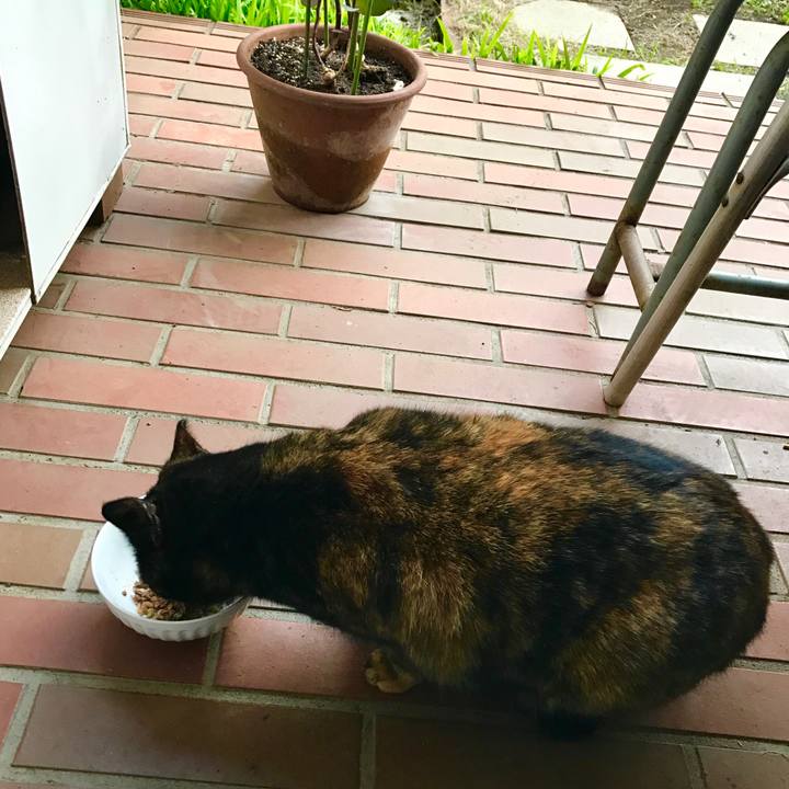 25721888 11da 497d b72a e5e7f9f603ce