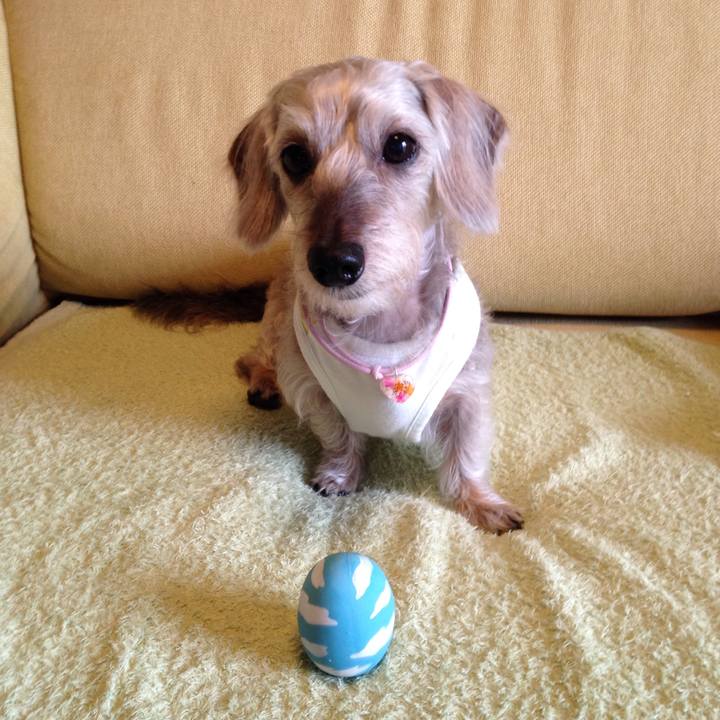 25725344 b90c 4e01 8011 491f42e8ee65