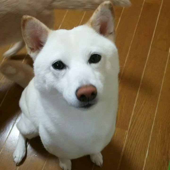 25729f7e 1a48 47c9 b052 c5685066cc57