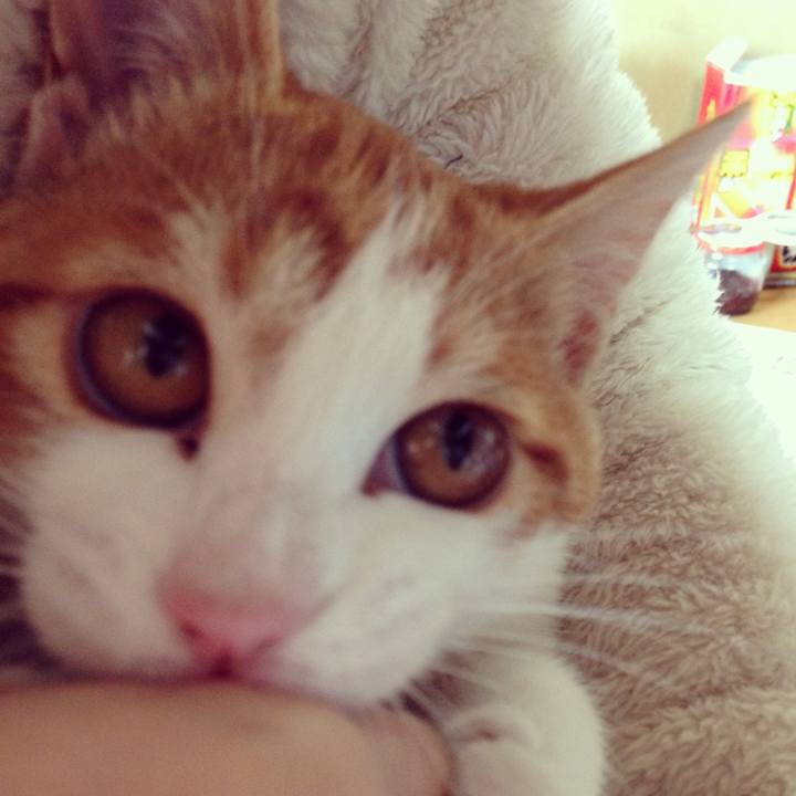 2572cb22 1c21 4c5d ad15 3e36ef3d0ae9