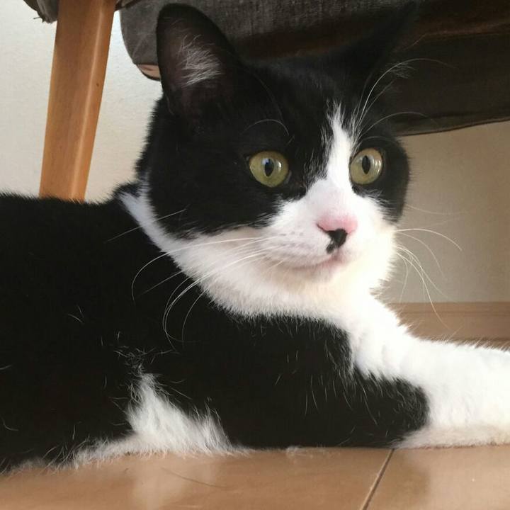 2572ed80 05bb 49af 928b be4b9360111a