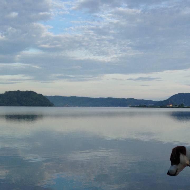 257326fa 0f5a 443b 928b 50f8cfc883be