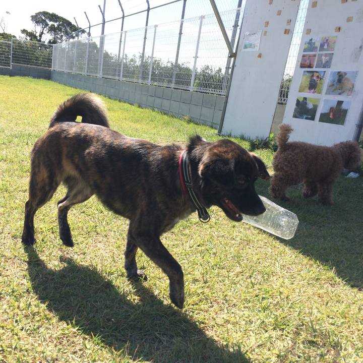 25739386 3d30 430c b151 4c7121a3829b