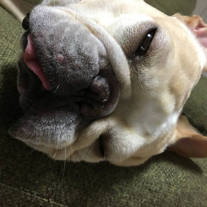 25748761 471f 4a75 a444 2b791cf01129