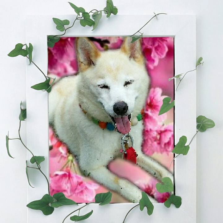 25749db5 3cc7 4c7e 82e4 25235dd2080c