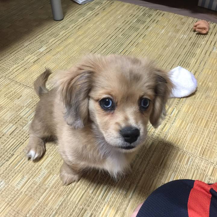 2574b094 14d3 44bc 88aa 0d17445e8278