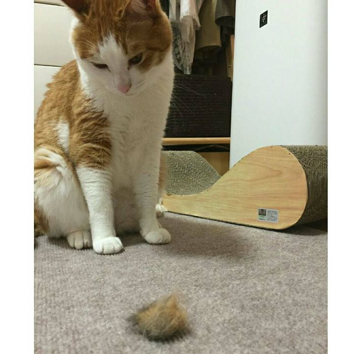 257507d7 25bb 4527 bf4d 431e4af3b952