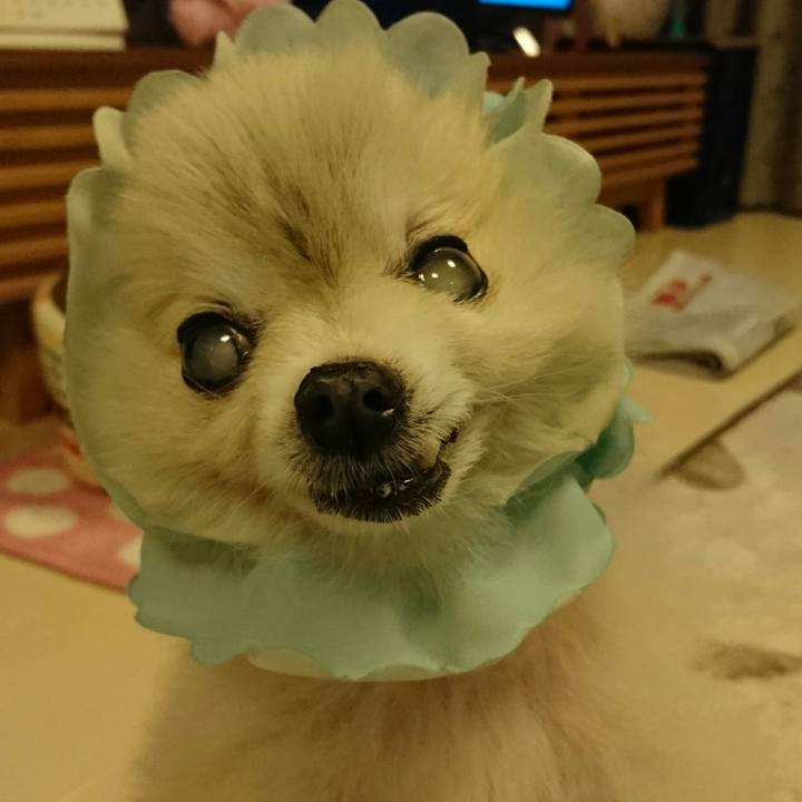 257579d7 8ee3 462e be5f 5e132553977f