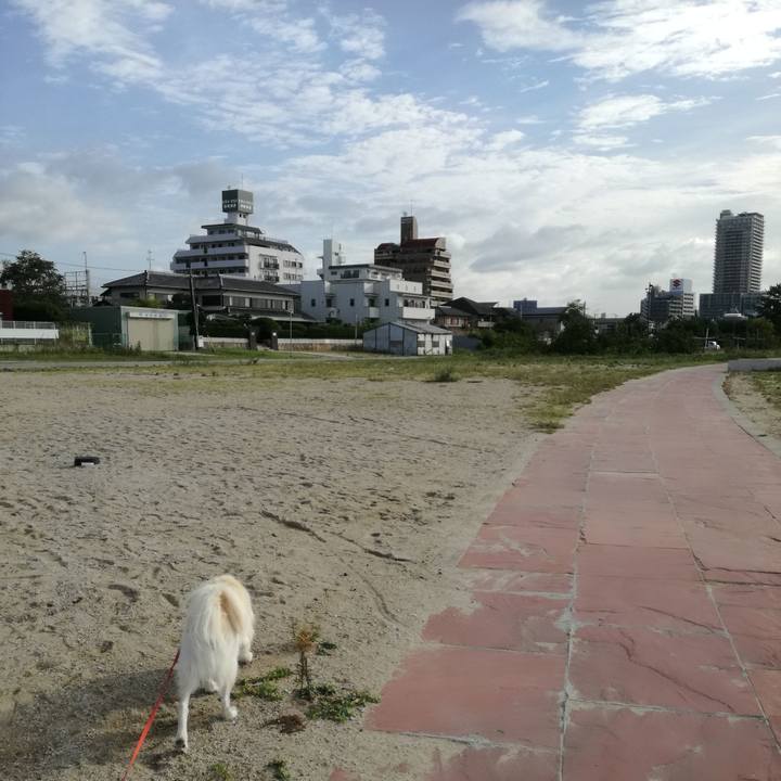 2575c3dc 57c2 46d5 8e98 2852e493d5e9