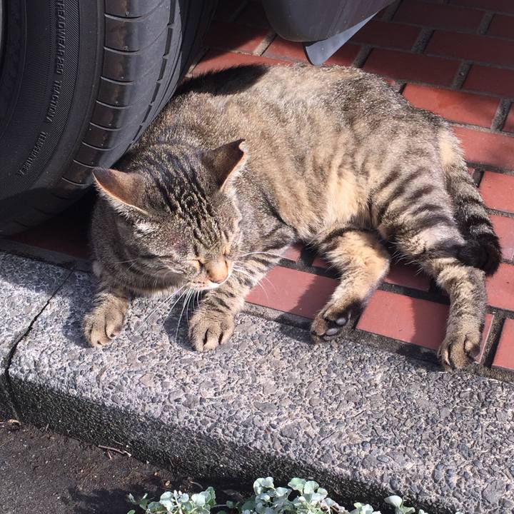 2575f4ef e29f 4859 a2d4 213b7d8daea7