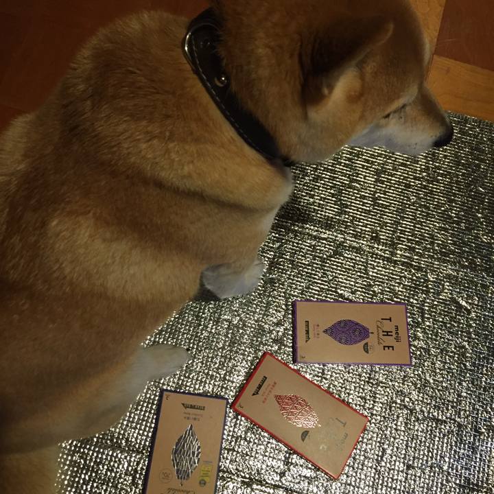 25761c80 e562 4e4a a339 9acc75a716e5