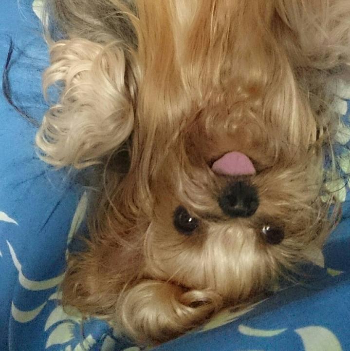 25766c4f aeb3 4090 b7c4 f40bd1854ee7