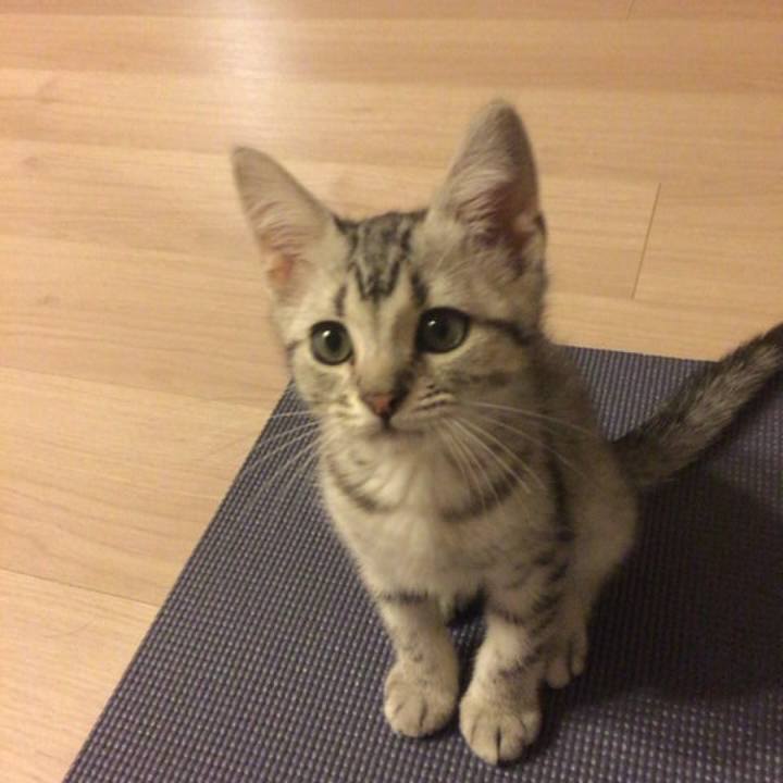 25768696 1476 411a 8e3b 0276952170e5