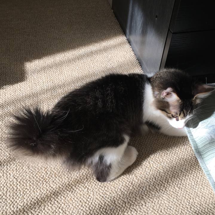 2576e4ff 2ab0 451f 9d67 9c01711d740d