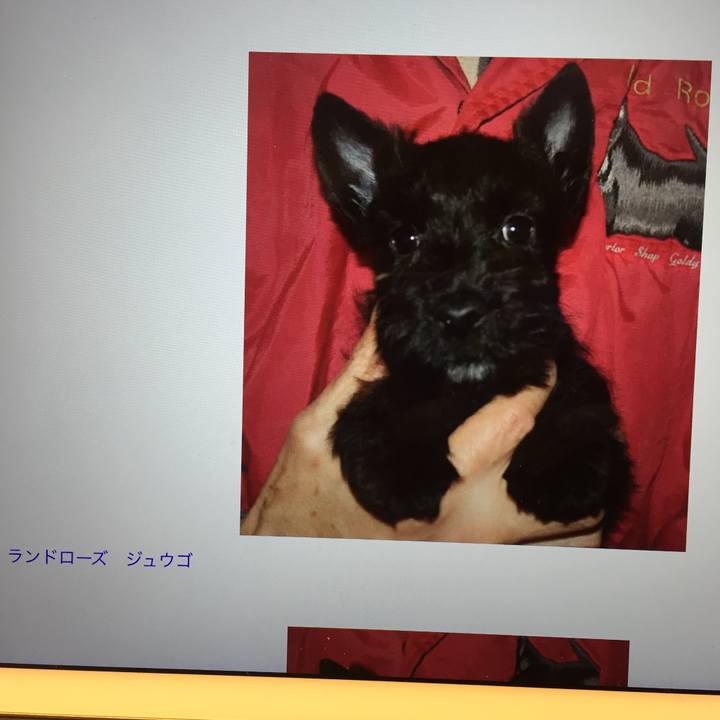 25771627 36c0 4cec aa85 3016a7f2283f