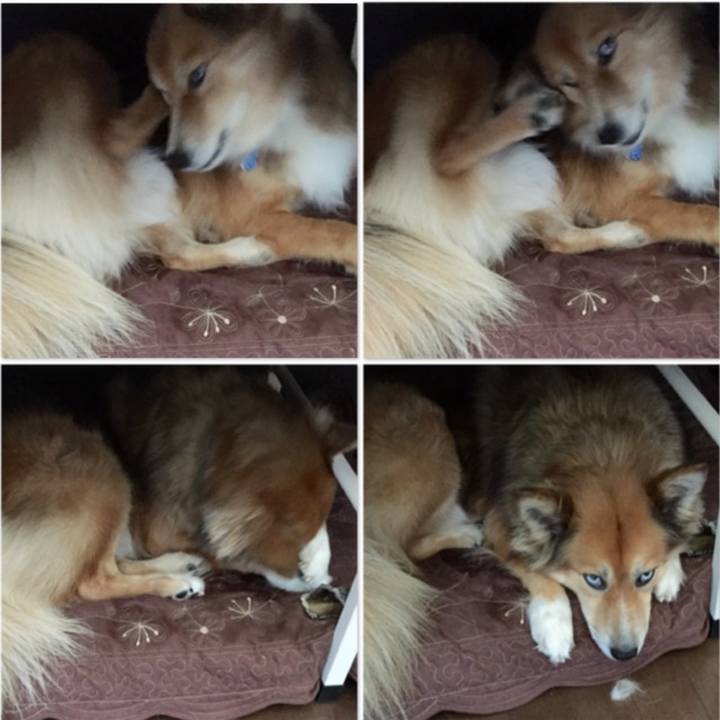 257771a4 1901 467d becb 49f8139d1206