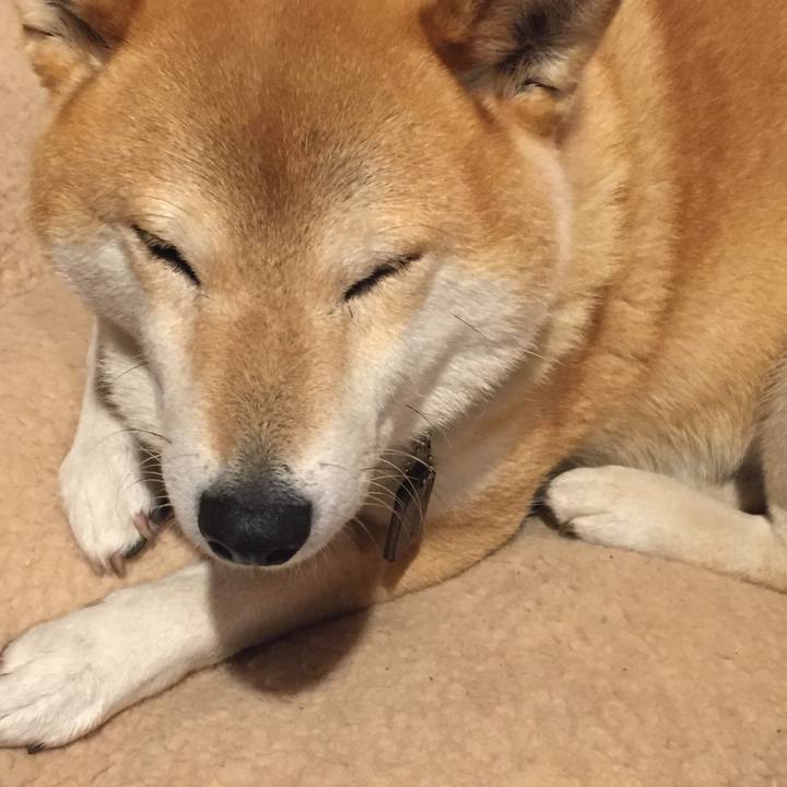 2577ff65 18c9 4495 874e 9ddd31018f15