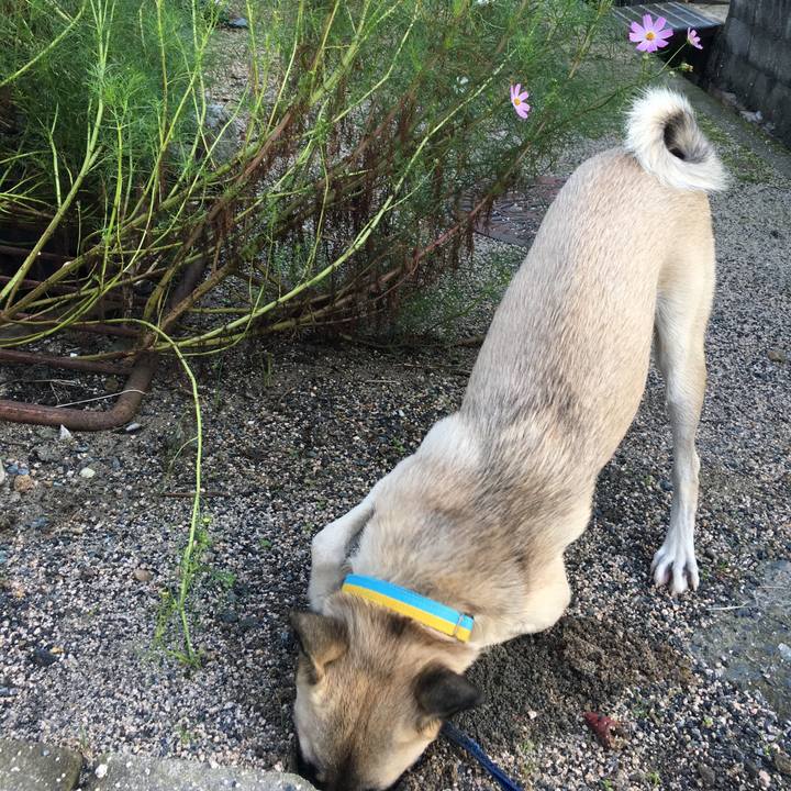 2578c6f3 7920 41fa aaef cef9e473f114