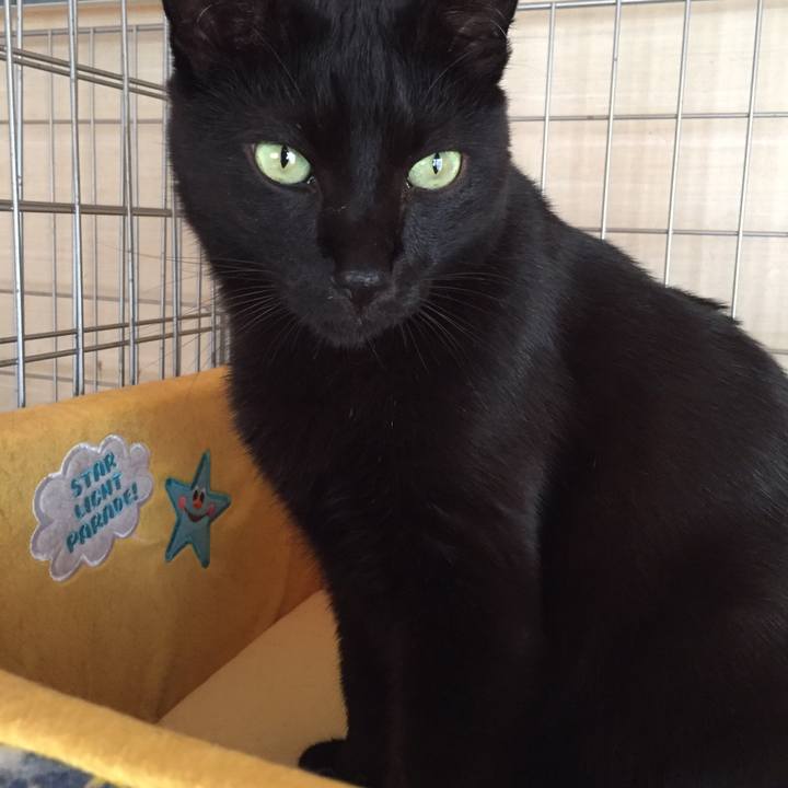 25795568 9615 4c5a bd29 273c3308ca85