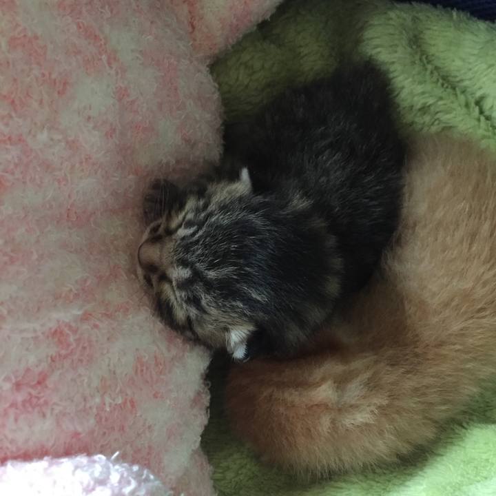 2579b460 8de1 4cb7 9381 32a298b57c66