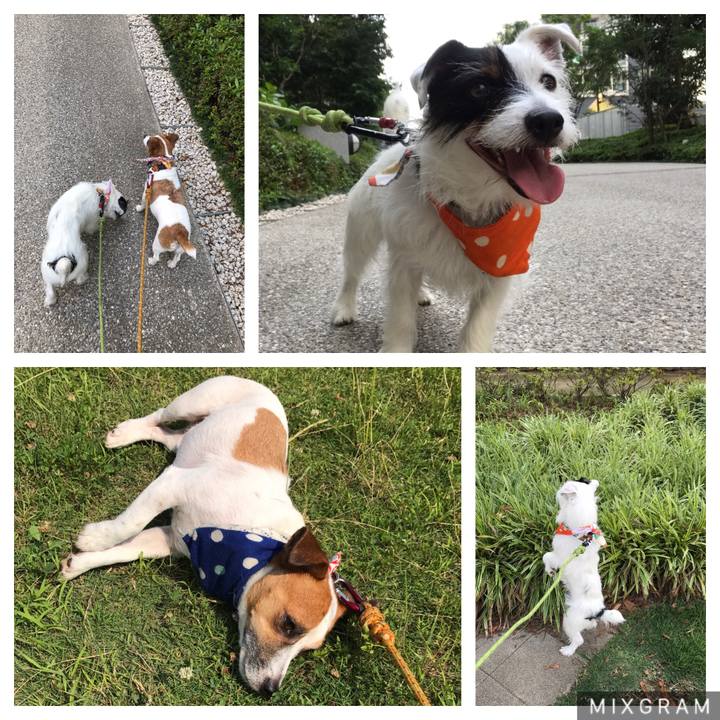 257a4199 5c82 4195 bc94 ede841c96867