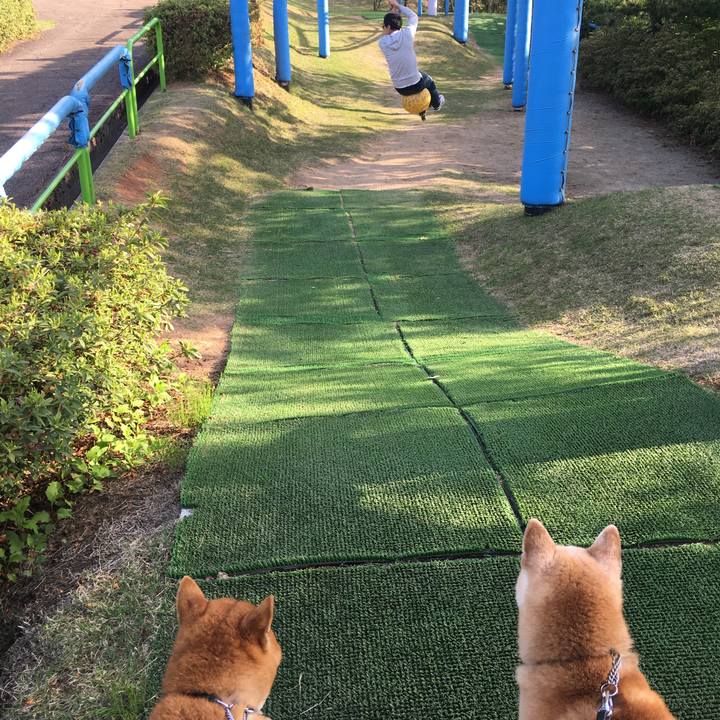 257a9524 2e8a 4321 a2b5 db742b3cf0c9